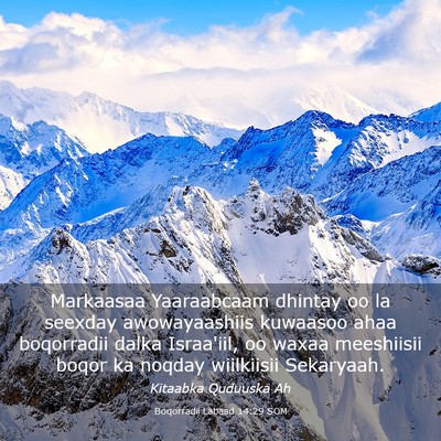 Picture 03 - Boqorradii Labaad 14:29 SOM - Markaasaa Yaaraabcaam dhintay oo la seexday - Bible Verse Picture