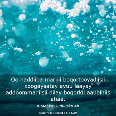 Picture 03 - Boqorradii Labaad 14:5 SOM - Oo haddiiba markii boqortooyadiisii xoogaysatay - Bible Verse Picture