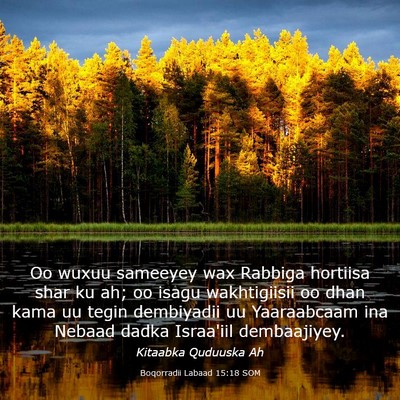 Picture 03 - Boqorradii Labaad 15:18 SOM - Oo wuxuu sameeyey wax Rabbiga hortiisa shar ku - Bible Verse Picture
