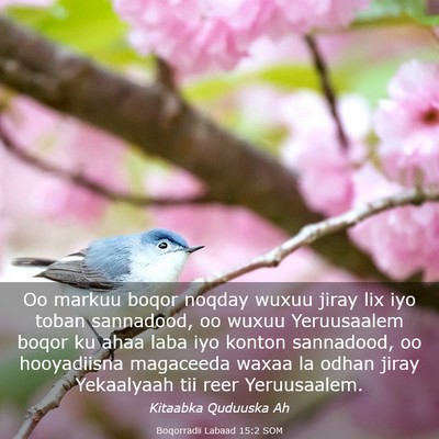 Picture 03 - Boqorradii Labaad 15:2 SOM - Oo markuu boqor noqday wuxuu jiray lix iyo toban - Bible Verse Picture