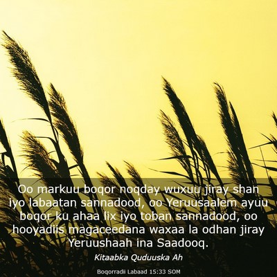 Picture 03 - Boqorradii Labaad 15:33 SOM - Oo markuu boqor noqday wuxuu jiray shan iyo - Bible Verse Picture