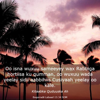 Picture 03 - Boqorradii Labaad 15:34 SOM - Oo isna wuxuu sameeyey wax Rabbiga hortiisa ku - Bible Verse Picture