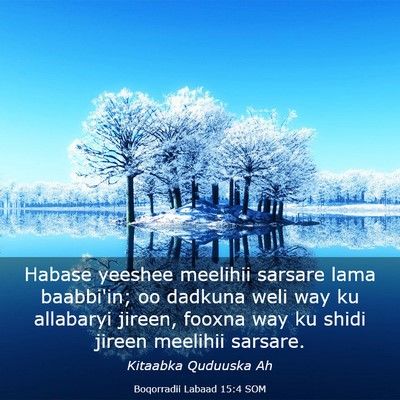 Picture 03 - Boqorradii Labaad 15:4 SOM - Habase yeeshee meelihii sarsare lama baabbi'in; - Bible Verse Picture