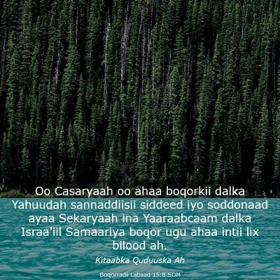 Picture 03 - Boqorradii Labaad 15:8 SOM - Oo Casaryaah oo ahaa boqorkii dalka Yahuudah - Bible Verse Picture