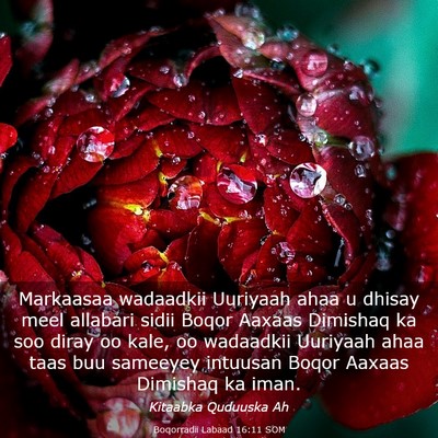 Picture 03 - Boqorradii Labaad 16:11 SOM - Markaasaa wadaadkii Uuriyaah ahaa u dhisay meel - Bible Verse Picture