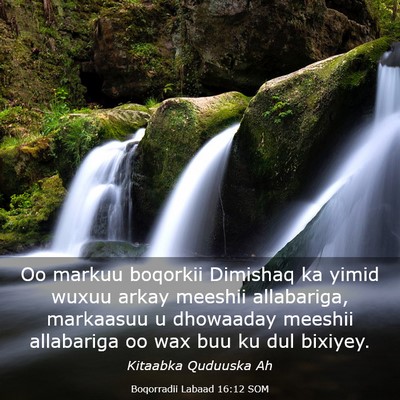 Picture 03 - Boqorradii Labaad 16:12 SOM - Oo markuu boqorkii Dimishaq ka yimid wuxuu arkay - Bible Verse Picture