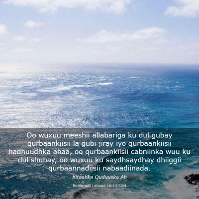 Picture 03 - Boqorradii Labaad 16:13 SOM - Oo wuxuu meeshii allabariga ku dul gubay - Bible Verse Picture
