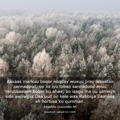 Picture 03 - Boqorradii Labaad 16:2 SOM - Aaxaas markuu boqor noqday wuxuu jiray labaatan - Bible Verse Picture