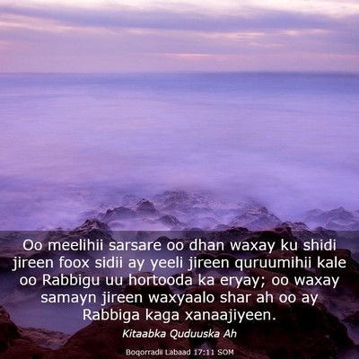 Picture 03 - Boqorradii Labaad 17:11 SOM - Oo meelihii sarsare oo dhan waxay ku shidi jireen - Bible Verse Picture