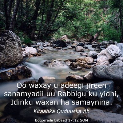 Picture 03 - Boqorradii Labaad 17:12 SOM - Oo waxay u adeegi jireen sanamyadii uu Rabbigu ku - Bible Verse Picture