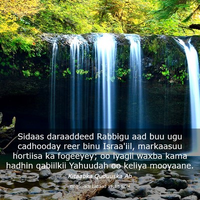 Picture 03 - Boqorradii Labaad 17:18 SOM - Sidaas daraaddeed Rabbigu aad buu ugu cadhooday - Bible Verse Picture