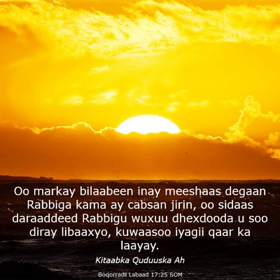 Picture 03 - Boqorradii Labaad 17:25 SOM - Oo markay bilaabeen inay meeshaas degaan Rabbiga - Bible Verse Picture