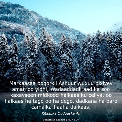 Picture 03 - Boqorradii Labaad 17:27 SOM - Markaasaa boqorkii Ashuur wuxuu bixiyey amar, oo - Bible Verse Picture