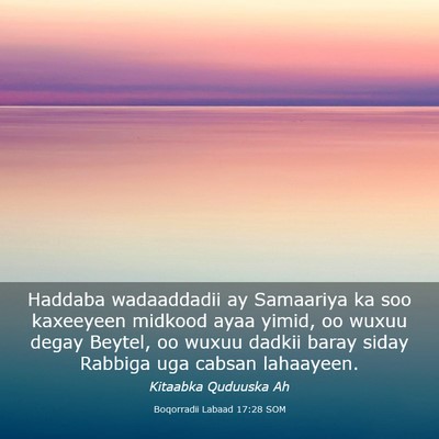 Picture 03 - Boqorradii Labaad 17:28 SOM - Haddaba wadaaddadii ay Samaariya ka soo kaxeeyeen - Bible Verse Picture