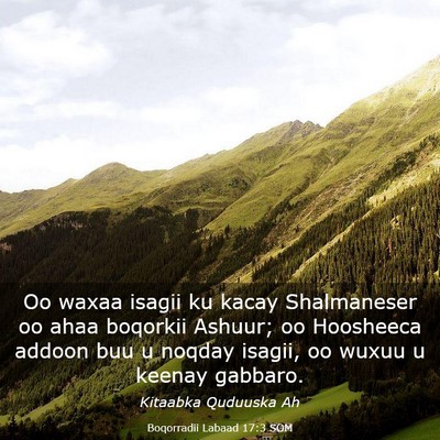 Picture 03 - Boqorradii Labaad 17:3 SOM - Oo waxaa isagii ku kacay Shalmaneser oo ahaa - Bible Verse Picture