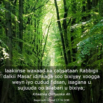 Picture 03 - Boqorradii Labaad 17:36 SOM - laakiinse waxaad ka cabsataan Rabbigii dalkii - Bible Verse Picture
