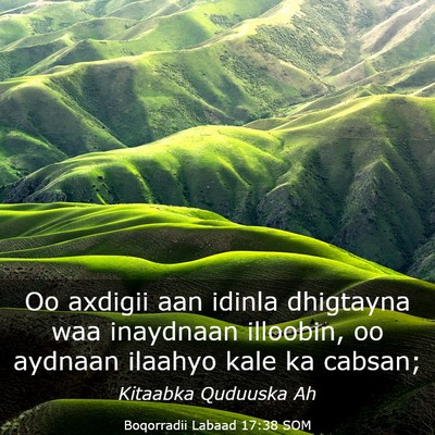Picture 03 - Boqorradii Labaad 17:38 SOM - Oo axdigii aan idinla dhigtayna waa inaydnaan - Bible Verse Picture