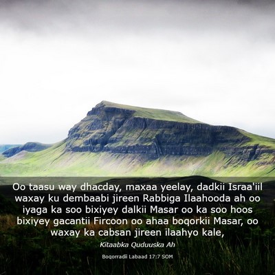 Picture 03 - Boqorradii Labaad 17:7 SOM - Oo taasu way dhacday, maxaa yeelay, dadkii - Bible Verse Picture