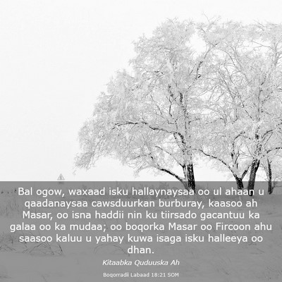 Picture 03 - Boqorradii Labaad 18:21 SOM - Bal ogow, waxaad isku hallaynaysaa oo ul ahaan u - Bible Verse Picture