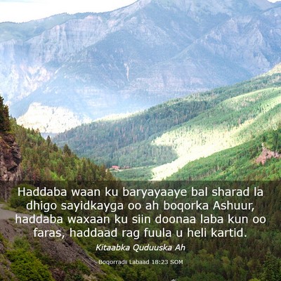 Picture 03 - Boqorradii Labaad 18:23 SOM - Haddaba waan ku baryayaaye bal sharad la dhigo - Bible Verse Picture