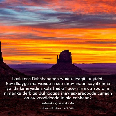 Picture 03 - Boqorradii Labaad 18:27 SOM - Laakiinse Rabshaaqeeh wuxuu iyagii ku yidhi, - Bible Verse Picture