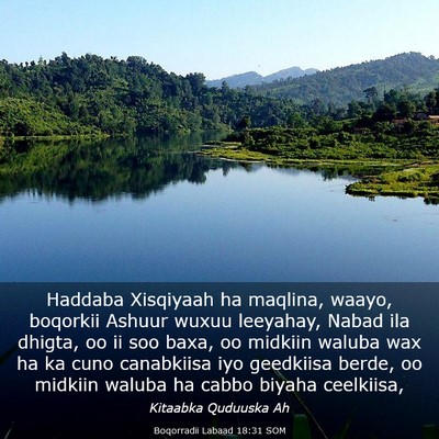 Picture 03 - Boqorradii Labaad 18:31 SOM - Haddaba Xisqiyaah ha maqlina, waayo, boqorkii - Bible Verse Picture