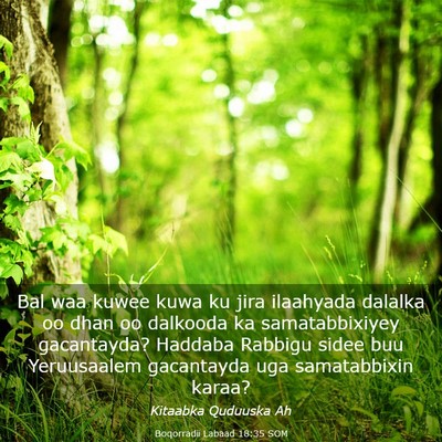 Picture 03 - Boqorradii Labaad 18:35 SOM - Bal waa kuwee kuwa ku jira ilaahyada dalalka oo - Bible Verse Picture