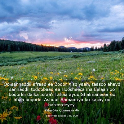 Picture 03 - Boqorradii Labaad 18:9 SOM - Oo sannaddii afraad ee Boqor Xisqiyaah, taasoo - Bible Verse Picture