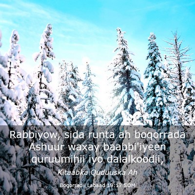 Picture 03 - Boqorradii Labaad 19:17 SOM - Rabbiyow, sida runta ah boqorrada Ashuur waxay - Bible Verse Picture