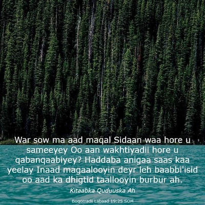Picture 03 - Boqorradii Labaad 19:25 SOM - War sow ma aad maqal Sidaan waa hore u sameeyey - Bible Verse Picture