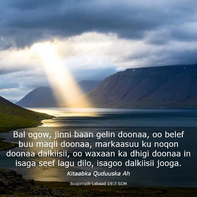 Picture 03 - Boqorradii Labaad 19:7 SOM - Bal ogow, jinni baan gelin doonaa, oo belef buu - Bible Verse Picture