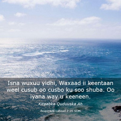 Picture 03 - Boqorradii Labaad 2:20 SOM - Isna wuxuu yidhi, Waxaad ii keentaan weel cusub - Bible Verse Picture