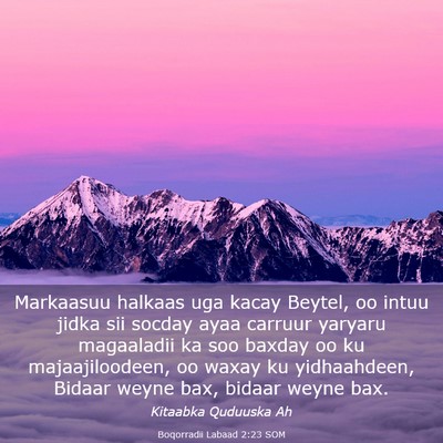 Picture 03 - Boqorradii Labaad 2:23 SOM - Markaasuu halkaas uga kacay Beytel, oo intuu - Bible Verse Picture