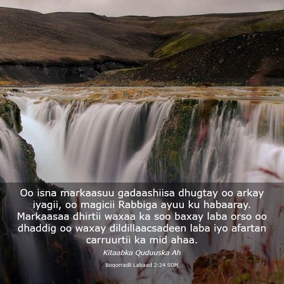 Picture 03 - Boqorradii Labaad 2:24 SOM - Oo isna markaasuu gadaashiisa dhugtay oo arkay - Bible Verse Picture