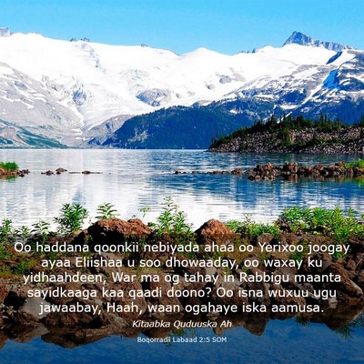 Picture 03 - Boqorradii Labaad 2:5 SOM - Oo haddana qoonkii nebiyada ahaa oo Yerixoo - Bible Verse Picture