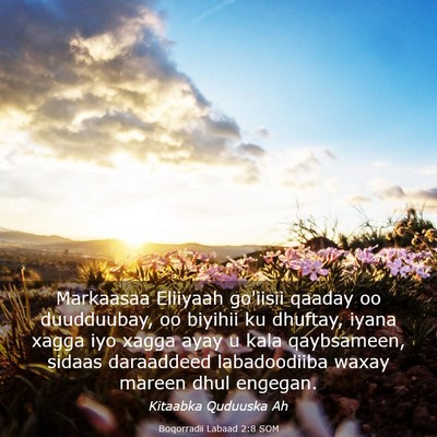 Picture 03 - Boqorradii Labaad 2:8 SOM - Markaasaa Eliiyaah go'iisii qaaday oo duudduubay, - Bible Verse Picture