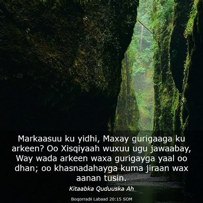 Picture 03 - Boqorradii Labaad 20:15 SOM - Markaasuu ku yidhi, Maxay gurigaaga ku arkeen? Oo - Bible Verse Picture