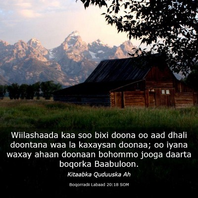 Picture 03 - Boqorradii Labaad 20:18 SOM - Wiilashaada kaa soo bixi doona oo aad dhali - Bible Verse Picture