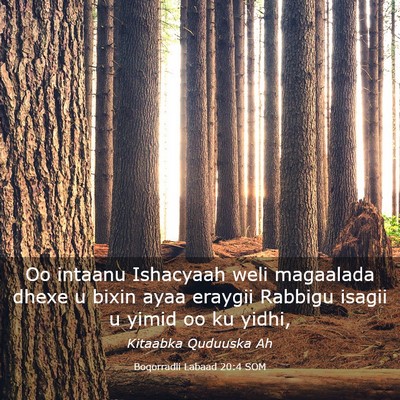 Picture 03 - Boqorradii Labaad 20:4 SOM - Oo intaanu Ishacyaah weli magaalada dhexe u bixin - Bible Verse Picture