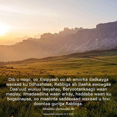 Picture 03 - Boqorradii Labaad 20:5 SOM - Dib u noqo, oo Xisqiyaah oo ah amiirka dadkayga - Bible Verse Picture