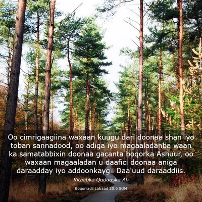 Picture 03 - Boqorradii Labaad 20:6 SOM - Oo cimrigaagiina waxaan kuugu dari doonaa shan - Bible Verse Picture