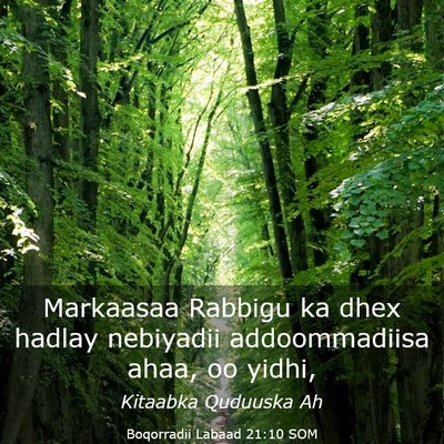 Picture 03 - Boqorradii Labaad 21:10 SOM - Markaasaa Rabbigu ka dhex hadlay nebiyadii - Bible Verse Picture