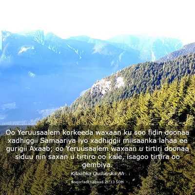 Picture 03 - Boqorradii Labaad 21:13 SOM - Oo Yeruusaalem korkeeda waxaan ku soo fidin - Bible Verse Picture