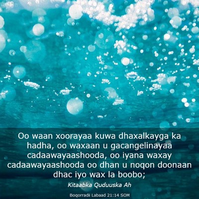 Picture 03 - Boqorradii Labaad 21:14 SOM - Oo waan xoorayaa kuwa dhaxalkayga ka hadha, oo - Bible Verse Picture