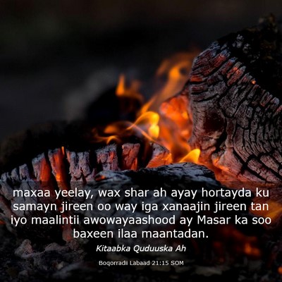 Picture 03 - Boqorradii Labaad 21:15 SOM - maxaa yeelay, wax shar ah ayay hortayda ku samayn - Bible Verse Picture