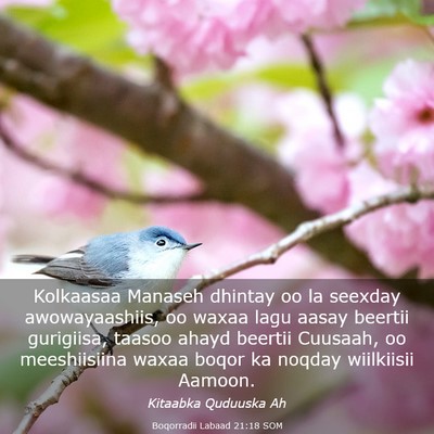 Picture 03 - Boqorradii Labaad 21:18 SOM - Kolkaasaa Manaseh dhintay oo la seexday - Bible Verse Picture