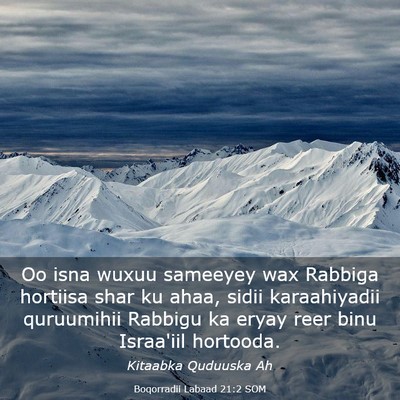 Picture 03 - Boqorradii Labaad 21:2 SOM - Oo isna wuxuu sameeyey wax Rabbiga hortiisa shar - Bible Verse Picture