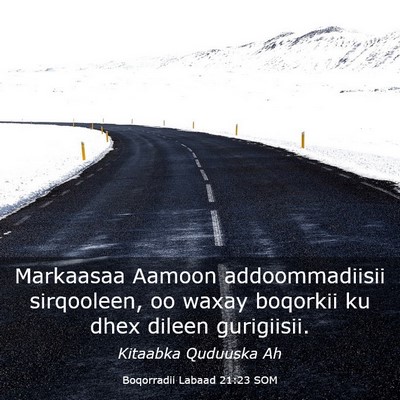 Picture 03 - Boqorradii Labaad 21:23 SOM - Markaasaa Aamoon addoommadiisii sirqooleen, oo - Bible Verse Picture