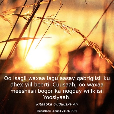Picture 03 - Boqorradii Labaad 21:26 SOM - Oo isagii waxaa lagu aasay qabrigiisii ku dhex - Bible Verse Picture