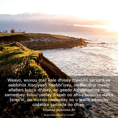 Picture 03 - Boqorradii Labaad 21:3 SOM - Waayo, wuxuu mar kale dhisay meelihii sarsare ee - Bible Verse Picture